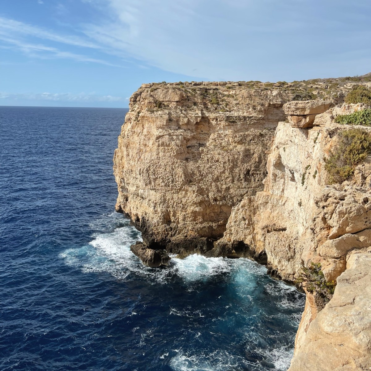 5 Things That Made Me Happy&nbsp;Recently