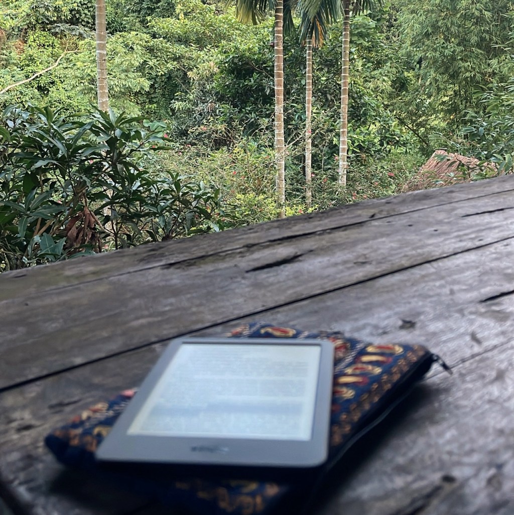 My 5 Stars ⭐️ Reads of 2025 (so far) – Fiction Edition